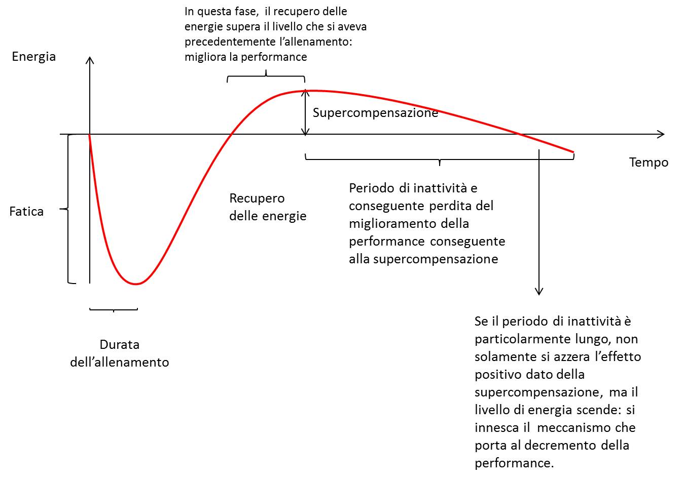 Supercompensazione allenamento