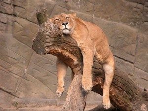 come dormire meglio