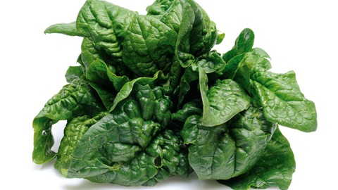 ferro alimenti