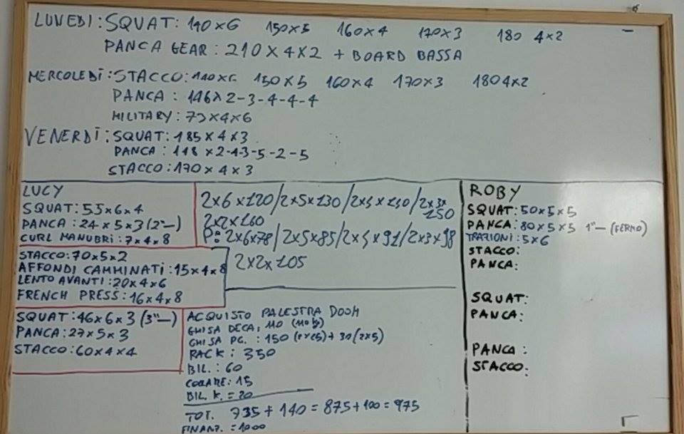 programma di forza