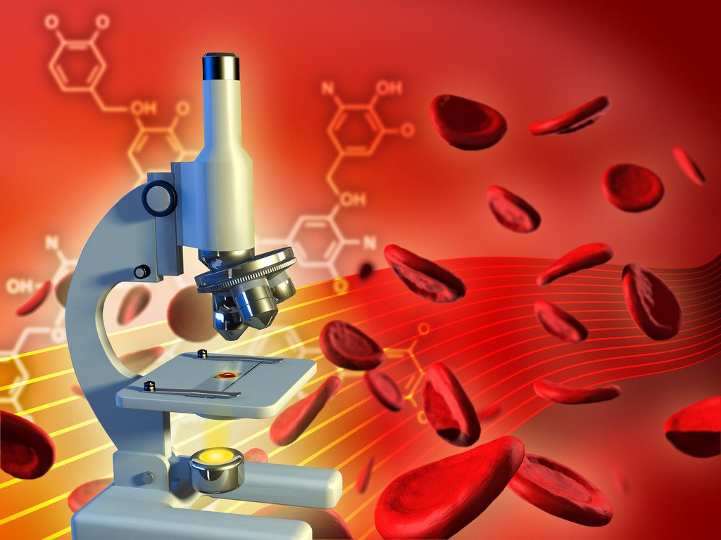 analisi del sangue palestra