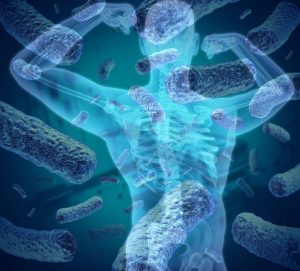microbioma bodybuilding