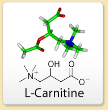 aminoacido carnitina