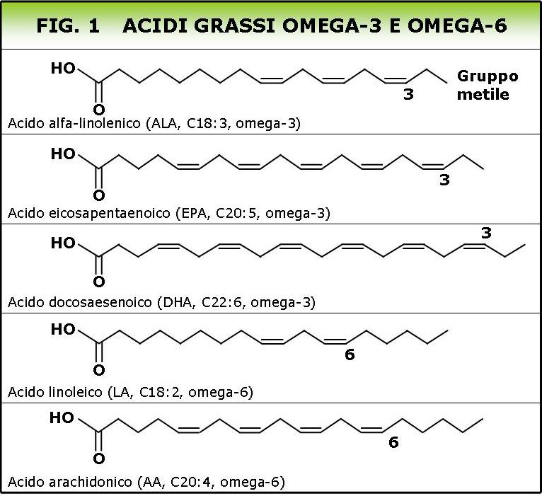 acidi grassi omega 3