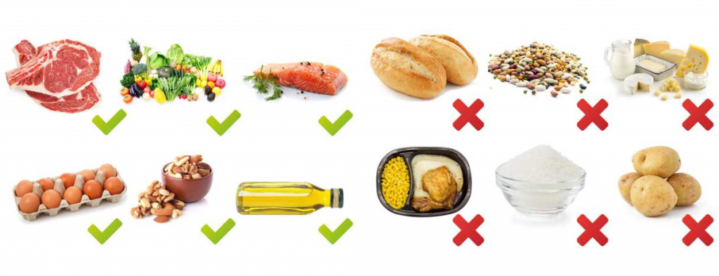 paleo alimenti alimenti dieta paleo