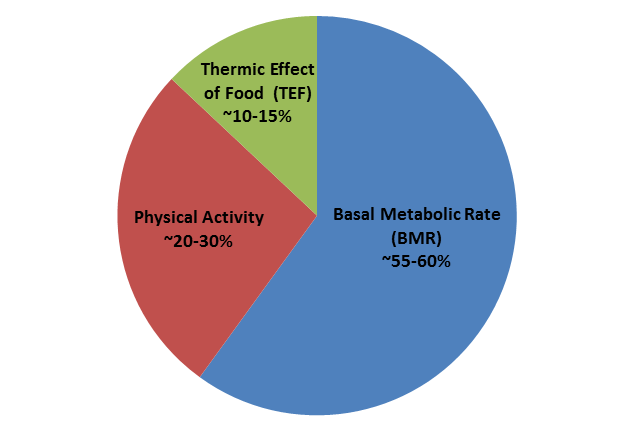 Conteggio calorie e carboidrati