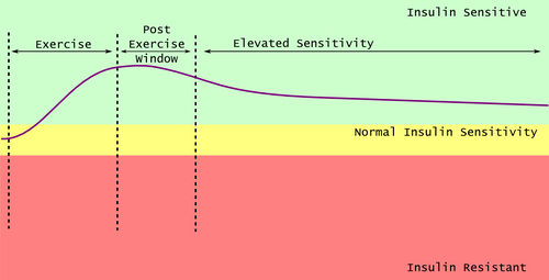 nutrient timing