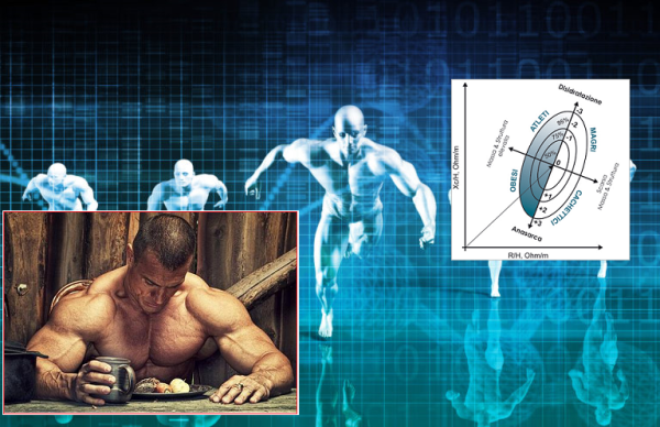 grafici bodybuilding