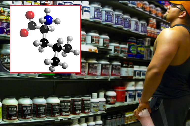 leucina bodybuilding